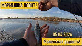 FISHINGМормышинг разная рыба на спиннинг. Белая рыба на мормышку. Поймал ПЯТЬ видов рыб на спиннинг!