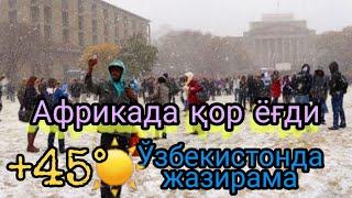 Африкада Қор Ёғди Afrikada Qor #Yulduztv #Африка #Тезкор || ВИДЕО-62