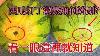 How to tell if watermelon is hit with hormones? Fruit farmers:Just take a look here and you'll know