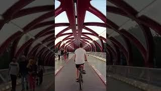 Biking the bow river pathway in Downtown Calgary! 