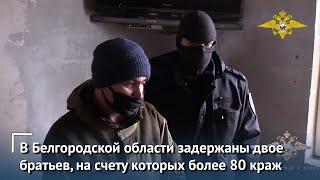 Полицейские Белгородской области задержали двоих братьев, на счету которых более 80 краж