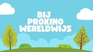 Bij Prokino Wereldwijs