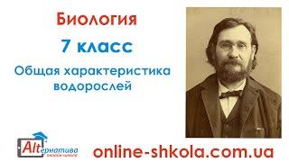 Биология. 7 класс. Общая характеристика водорослей. Онлайн-школа Альтернатива