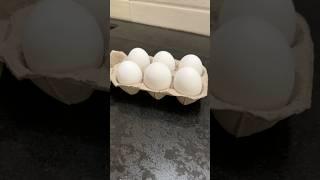 Nutreen White Eggs