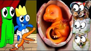РАДУЖНЫЕ ДРУЗЬЯ родили ОРАНЖЕВОГО! ПРИЯТНОЕ ВИДЕО ТИКТОК Не скажи ВАУ Rainbow Friend Валеришка Макс