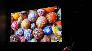 Stunning ! Sony VPL VW598 with XY screen top 4k projector screen