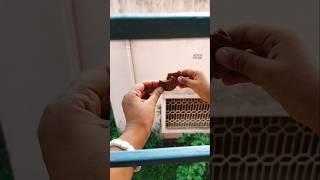 #short #mini vlog