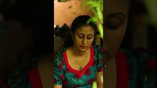 sweet rings|Jilebi  #villagecooking foods #poorna The nature girl