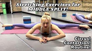 SPLIT in 60 SECONDS with THESE Proven Stretching Exercises!