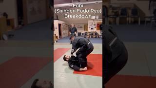 Fubi (Shinden Fudo Ryu) Breakdown #martialarts #ninjutsu #bujinkanninjutsu #taijutsu #shindenfudoryu