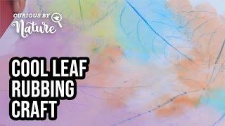 Leaf Rubbings Kids Craft (Nature Craft)