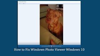 How to Fix Windows Photo Viewer Windows 10