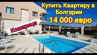 Недорогая Квартира Цена 14 000 Евро Кошарица, Недвижимость в Болгарии