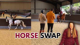 HORSE SWAP WITH RIDING WITH CHARLOTTE | Boswell Dressage