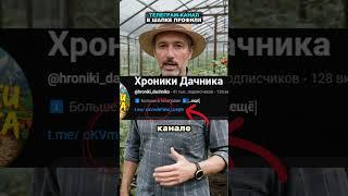 Эффективный укоренитель своими руками. Корни даст даже палка! #огород #сад #дача