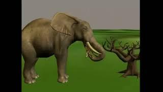 THIS ELEPHANT SWALLOWS A JAGUAR - ANIMATION THAT WILL SHOCK YOU