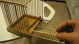 Бамбуковый хлопок (bird trap).AVI