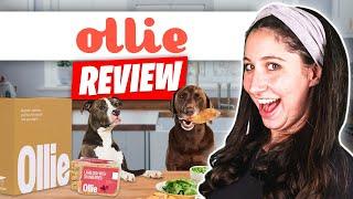 Ollie Pet Food Review (2025)