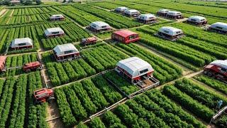 How China’s Smart Farming is Quietly Taking Over Agriculture
