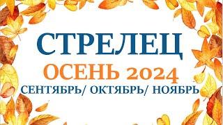 СТРЕЛЕЦ  ОСЕНЬ 2024 таро прогноз на сентябрь 2024/ октябрь 2024/ ноябрь 2024/ расклад “7 планет”