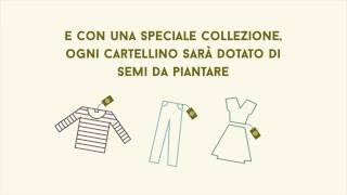 Fracomina con "Seed the Future" rinforza la sua green vision
