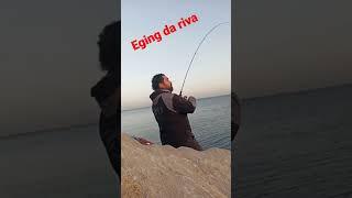 Calamaro in Canna#eging #pesca #squid #squidgame #calamari