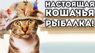 НАСТОЯЩАЯ КОШАЧЬЯ РЫБАЛКА!