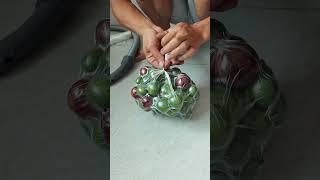Complete vacuum sealing process with vacuum cleaner