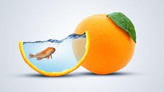 Photo Manipulation in Photoshop | Orange and Fish