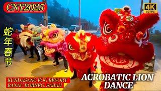 LION DANCE  TARIAN SINGA 2025‼️EPIC MOMENT FIRE WORK DISPLAY & CRACKERS KUNDASANG FOG RESORT SABAH