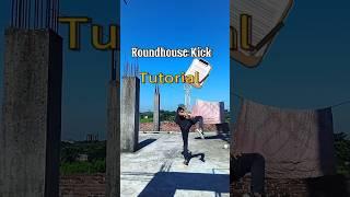 Roundhouse Kick Tutorial  #shorts #martialarts #taekwondo #kick #tutorial #mma #kicks