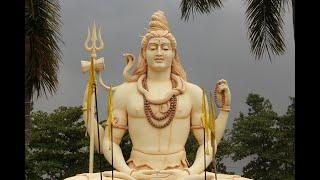 Lord Shiva Puja  Status #shiva #mahadev #mahakal #bholenath #harharmahadev #shiv #india #hindu