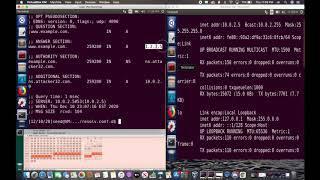 DNS Cache Poisoning Attack Demo