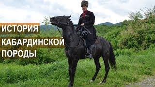 Асланбек Султанович Мирзоев. История Кабардинской породы лошадей.