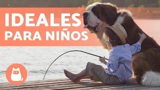 10 RAZAS de PERROS para NIÑOS  ¡Descúbrelas!