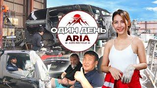 Один день компании ARIA