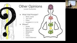 Bryce Mason: "The Physics of Yoga: A Biophysical Representation of Enlightenment"