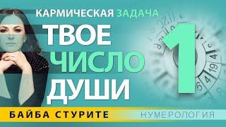 Кармическая задача ЧИСЛО ДУШИ 1  Нумерология по дате рождения