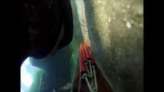 Chasse sous marine  Morbihan