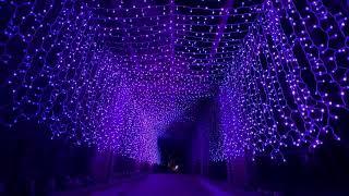 Twinkly | 100' LED Tunnel