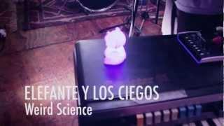 elefante  y los ciegos - weirdscience (en vivo)