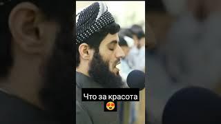 такой голос красивый Аллах ему дарил  #коран #quran #дагестан #таджикистан #топ #тикток #love #duet