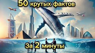 Топ 50 крутых фактов за 2 минуты