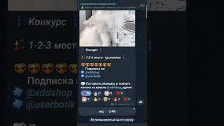 розыгрыш Telegram premium | телеграм премиум