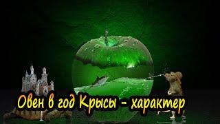 Овен в год Крысы - Характер