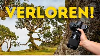  Lost in the cloud forest  My greatest photo adventure on Madeira 