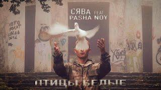 СЯВА Ft. PASHA NOY - Птицы Белые (ПРЕМЬЕРА КЛИПА)