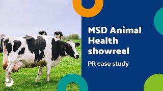 MSD Animal Health case study
