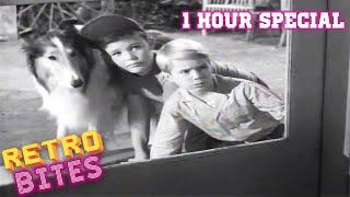 Lassie | 1 Hour Special | Lassie English Full Episodes  