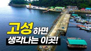 고성 도보 낚시포인트, 조과가 뛰어난 1급 낚시포인트 (feat. 감성돔, 고등어, 전갱이, 숭어)